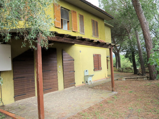 Casale con oliveto vicino a Grosseto in vendita a Grosseto