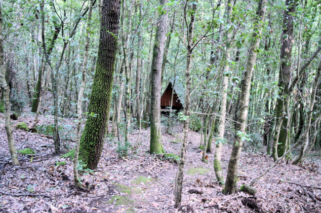 Rustico in vendita a Sassofortino, Roccastrada (GR)