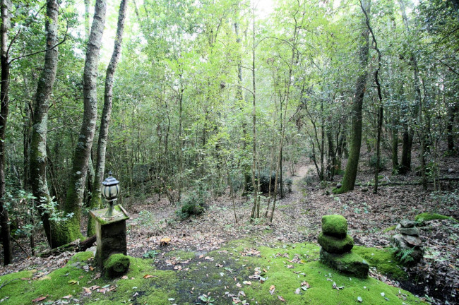 Rustico in vendita a Sassofortino, Roccastrada (GR)