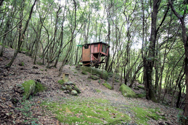 Rustico in vendita a Sassofortino, Roccastrada (GR)