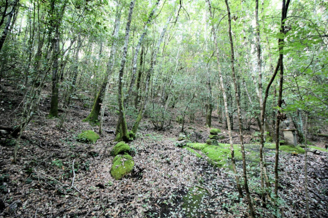 Rustico in vendita a Sassofortino, Roccastrada (GR)