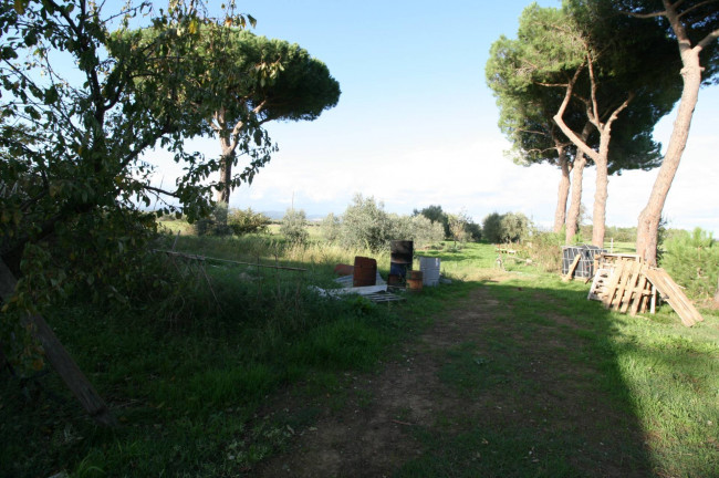 Piccolo podere nella pianura Maremmana in vendita a Roccastrada