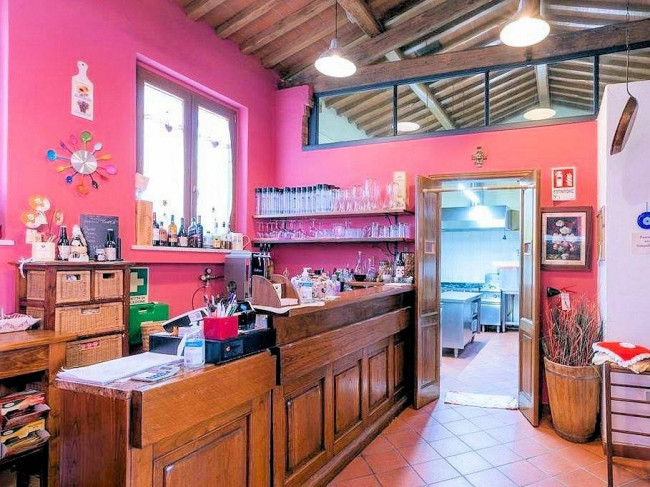 Complesso immobiliare in stile rustico Toscano di ampia superficie con parco e piscina in vendita a Montecarlo