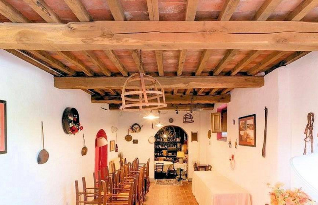 Complesso immobiliare in stile rustico Toscano di ampia superficie con parco e piscina in vendita a Montecarlo