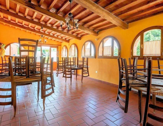 Complesso immobiliare in stile rustico Toscano di ampia superficie con parco e piscina in vendita a Montecarlo