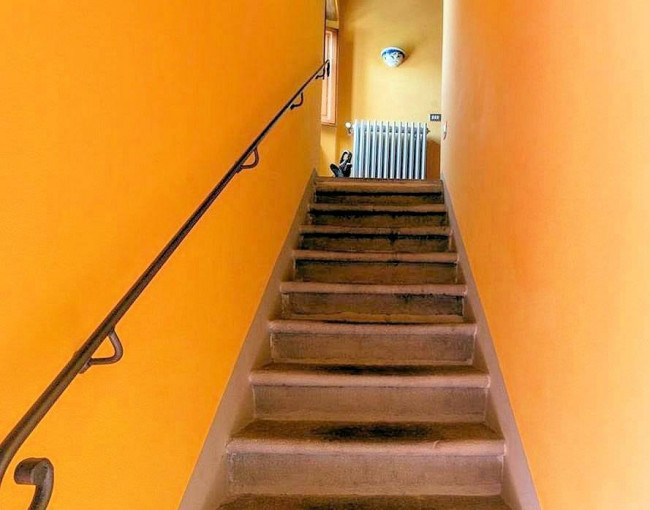 Complesso immobiliare in stile rustico Toscano di ampia superficie con parco e piscina in vendita a Montecarlo