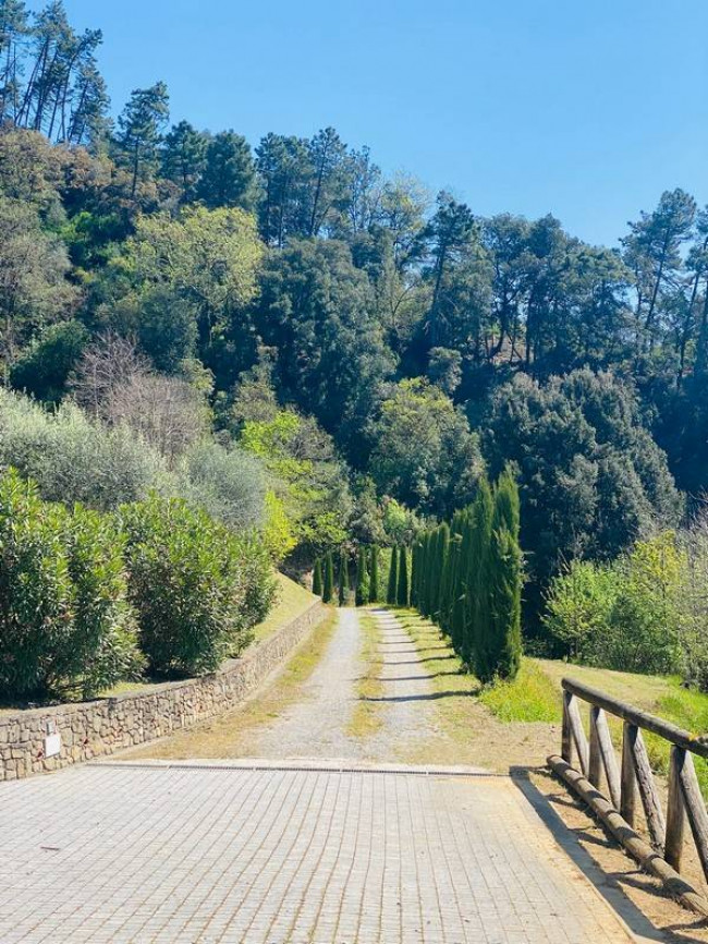 Bellissimo rustico in stile Toscano con parco piscina e suggestiva vista panoramica in vendita a Pescaglia