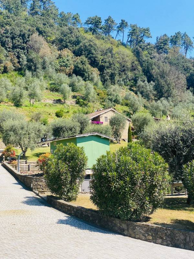 Bellissimo rustico in stile Toscano con parco piscina e suggestiva vista panoramica in vendita a Pescaglia