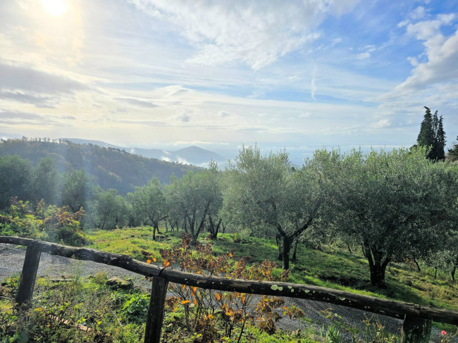 Casa colonica di ampia superficie in posizione dominante con vista panoramica in vendita a Marliana