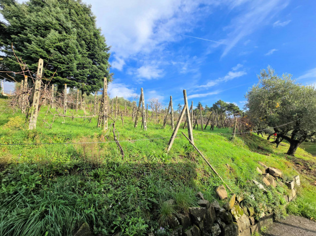 Casa colonica di ampia superficie in posizione dominante con vista panoramica in vendita a Marliana