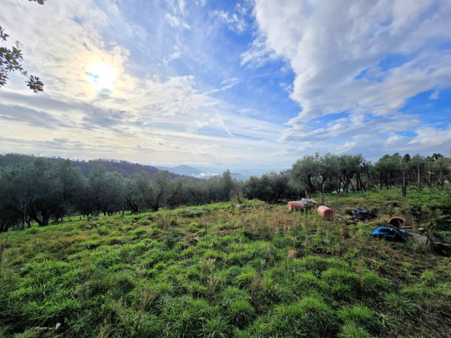 Casa colonica di ampia superficie in posizione dominante con vista panoramica in vendita a Marliana