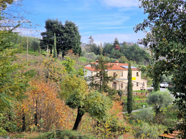 Casa colonica di ampia superficie in posizione dominante con vista panoramica in vendita a Marliana