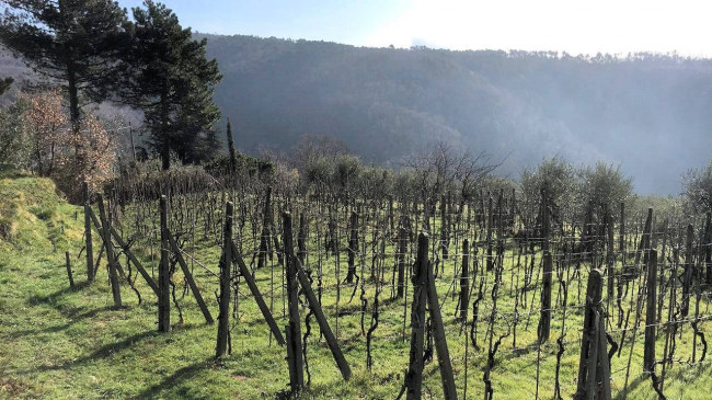Casa colonica di ampia superficie in posizione dominante con vista panoramica in vendita a Marliana