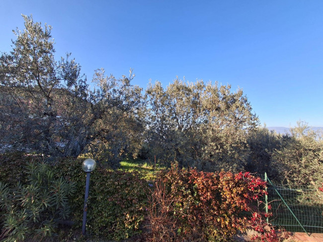 Terratetto completamente ristrutturato libero su tre lati con dependance giardino e posti auto a Tizzana in vendita a Quarrata