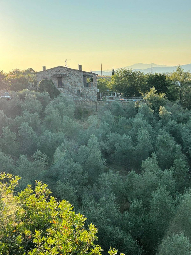 Casale in stile rustico Toscano con vista panoramica parco e piscina in vendita a Roccastrada