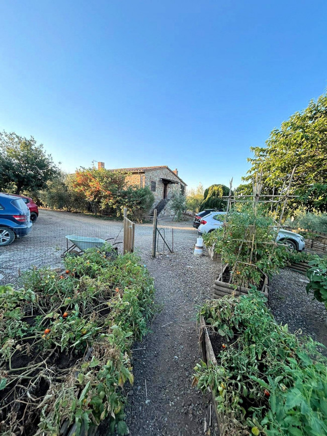 Casale in stile rustico Toscano con vista panoramica parco e piscina in vendita a Roccastrada