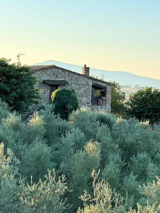 Casale in stile rustico Toscano con vista panoramica parco e piscina in vendita a Roccastrada
