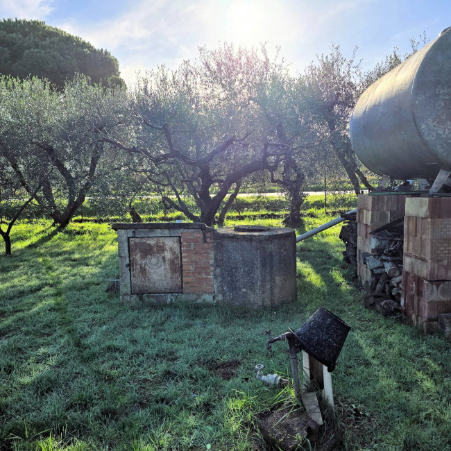Annesso agricolo con ampio terreno vicino al mare in vendita a Scarlino
