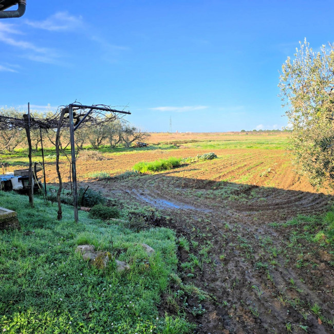 Annesso agricolo con ampio terreno vicino al mare in vendita a Scarlino