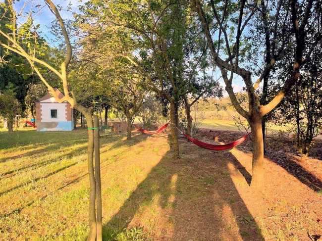 Agriturismo di ampia superficie con terreno piscina vicino al mare in vendita a Rosignano Marittimo