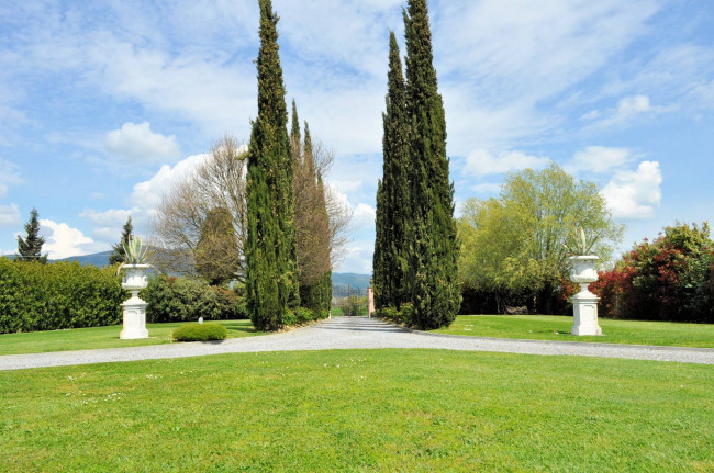Villa storica di grandi dimensioni con parco e piscina in vendita a Pontedera