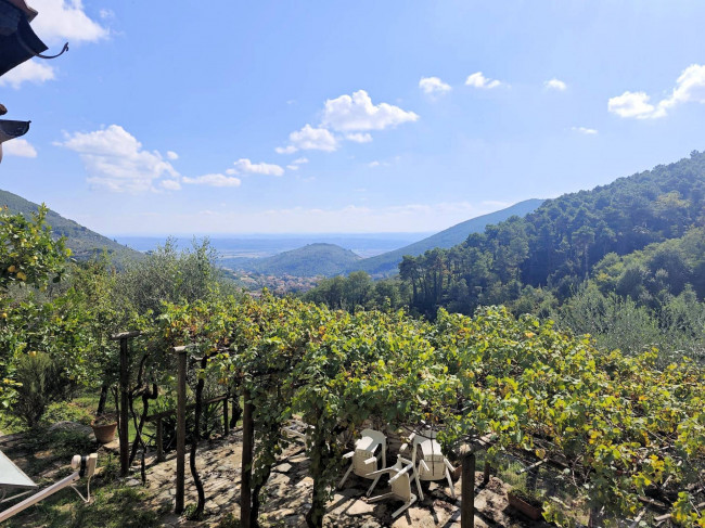 Casale con terreno e vista panoramica mozzafiato in vendita a Buti