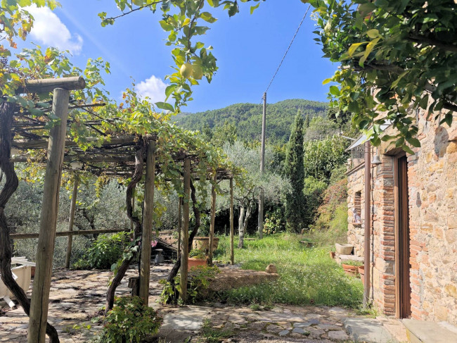 Casale con terreno e vista panoramica mozzafiato in vendita a Buti
