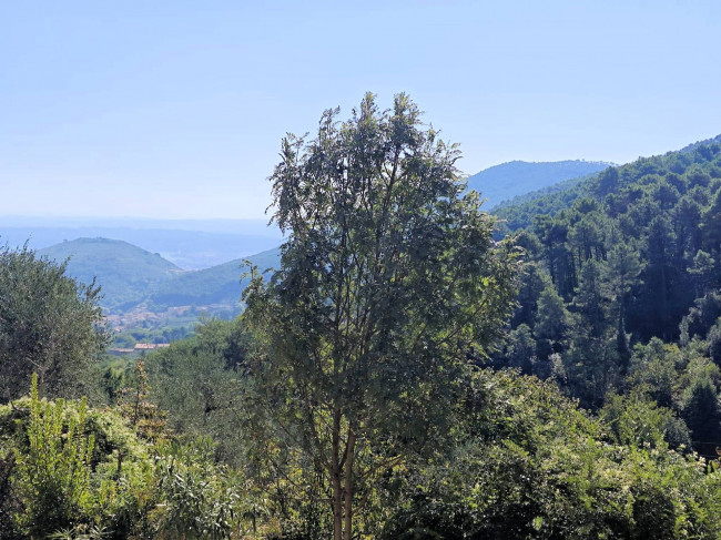 Casale con terreno e vista panoramica mozzafiato in vendita a Buti