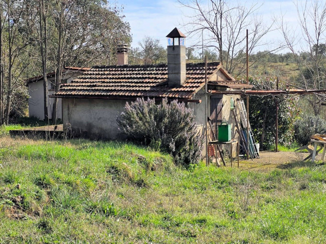 Annesso agricolo in posizione collinare in vendita a Roccastrada