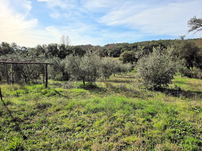 Annesso agricolo in posizione collinare in vendita a Roccastrada