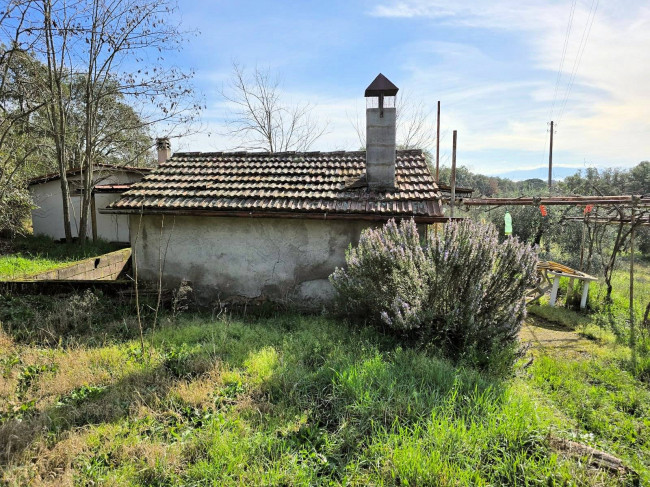 Annesso agricolo in posizione collinare in vendita a Roccastrada