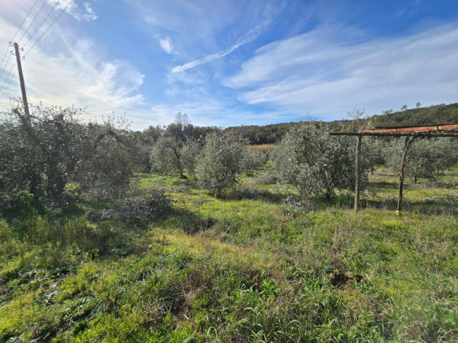 Annesso agricolo in posizione collinare in vendita a Roccastrada