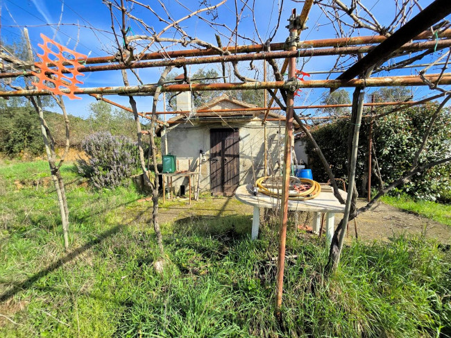 Annesso agricolo in posizione collinare in vendita a Roccastrada