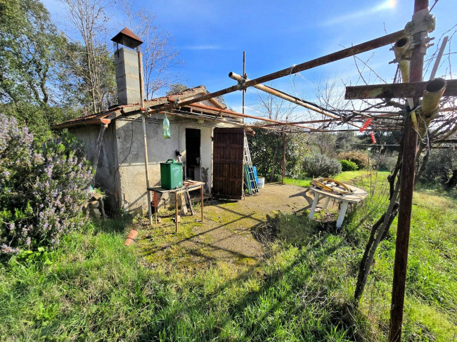 Annesso agricolo in posizione collinare in vendita a Roccastrada