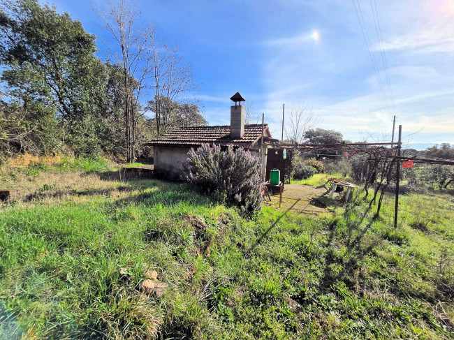 Annesso agricolo in posizione collinare in vendita a Roccastrada