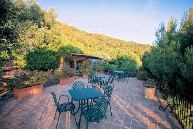 Villa prestigiosa con ampio parco piscina e vista mare in vendita a Monte Argentario