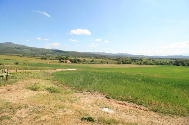 Podere panoramico in Maremma in vendita a Roccastrada