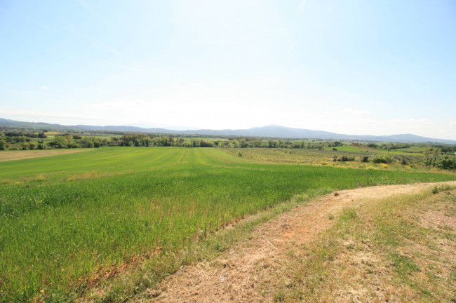 Podere panoramico in Maremma in vendita a Roccastrada
