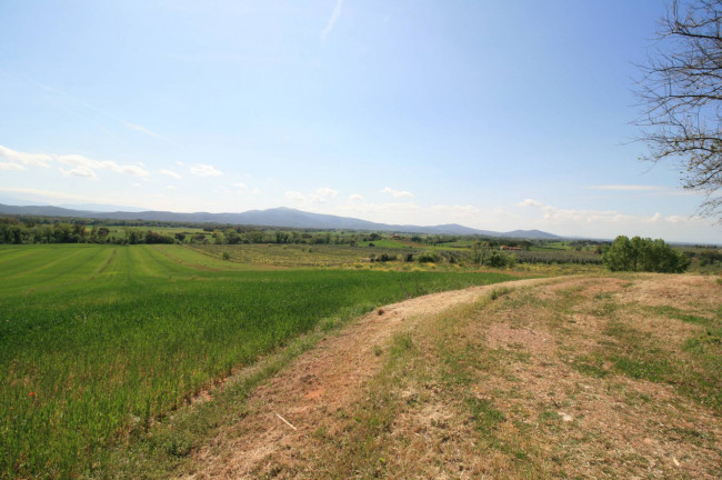 Podere panoramico in Maremma in vendita a Roccastrada