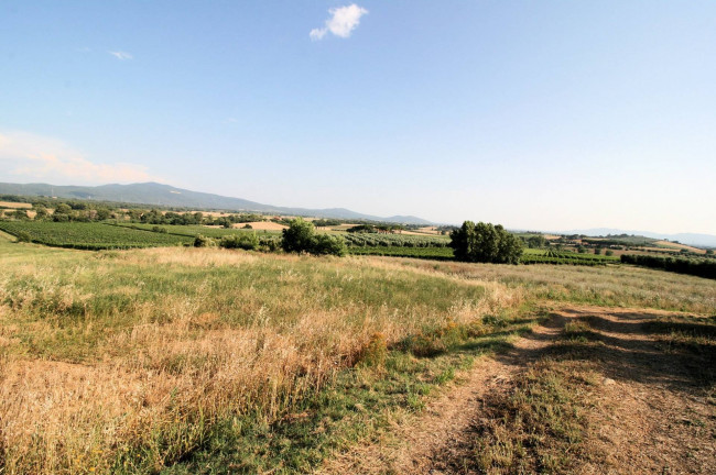 Podere panoramico in Maremma in vendita a Roccastrada
