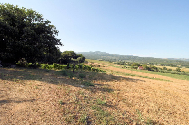 Podere panoramico in Maremma in vendita a Roccastrada