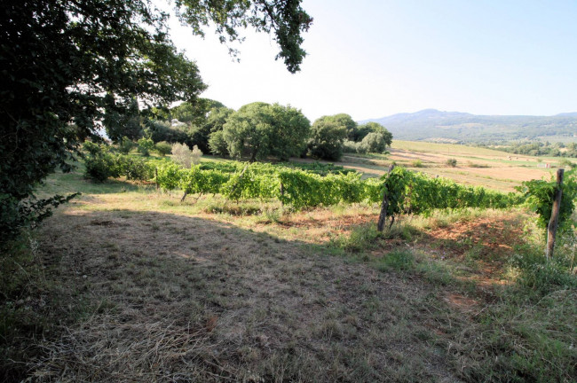 Podere panoramico in Maremma in vendita a Roccastrada