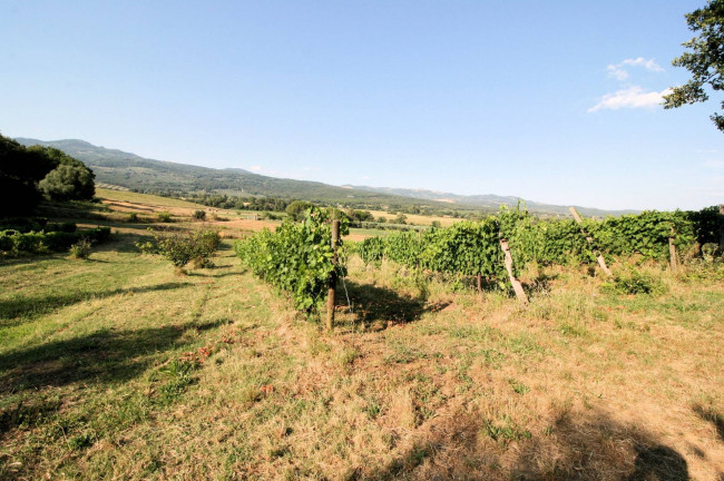Podere panoramico in Maremma in vendita a Roccastrada