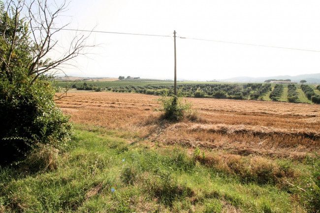 Podere panoramico in Maremma in vendita a Roccastrada