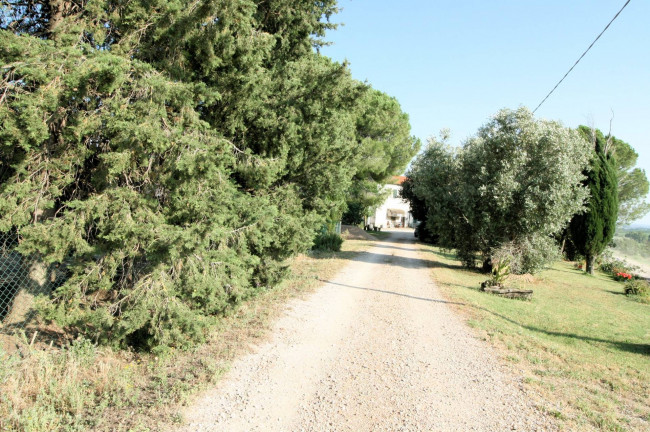 Podere panoramico in Maremma in vendita a Roccastrada