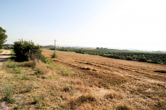 Podere panoramico in Maremma in vendita a Roccastrada
