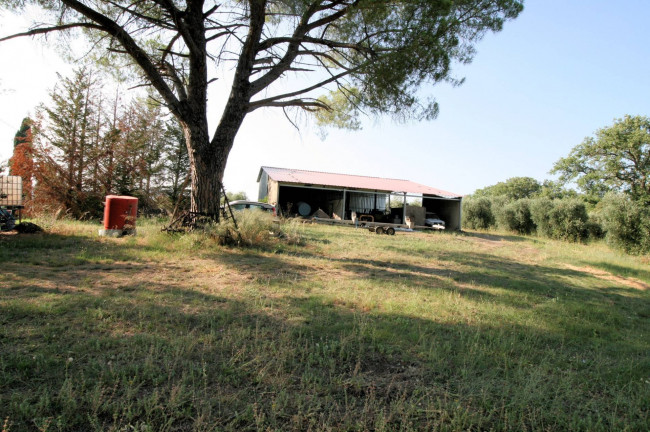 Podere panoramico in Maremma in vendita a Roccastrada