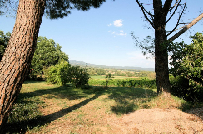 Podere panoramico in Maremma in vendita a Roccastrada