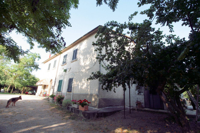 Podere panoramico in Maremma in vendita a Roccastrada