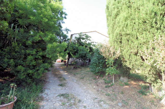 Podere panoramico in Maremma in vendita a Roccastrada